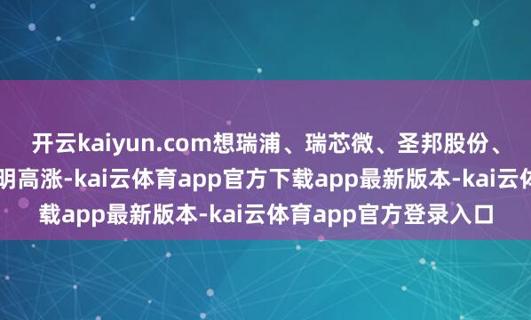 开云kaiyun.com想瑞浦、瑞芯微、圣邦股份、寒武纪、纳芯微等显明高涨-kai云体育app官方下载app最新版本-kai云体育app官方登录入口