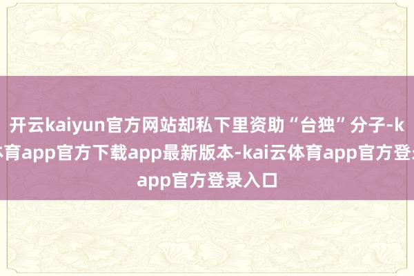 开云kaiyun官方网站却私下里资助“台独”分子-kai云体育app官方下载app最新版本-kai云体育app官方登录入口