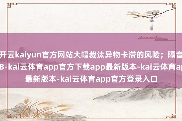 开云kaiyun官方网站大幅裁汰异物卡滞的风险；隔音性能可达到31dB-kai云体育app官方下载app最新版本-kai云体育app官方登录入口