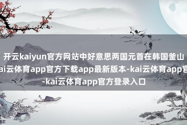开云kaiyun官方网站中好意思两国元首在韩国釜山举行会晤-kai云体育app官方下载app最新版本-kai云体育app官方登录入口